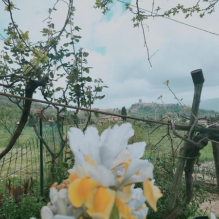 I Castagnini Leilighet Montecatini Val di Cecina Eksteriør bilde