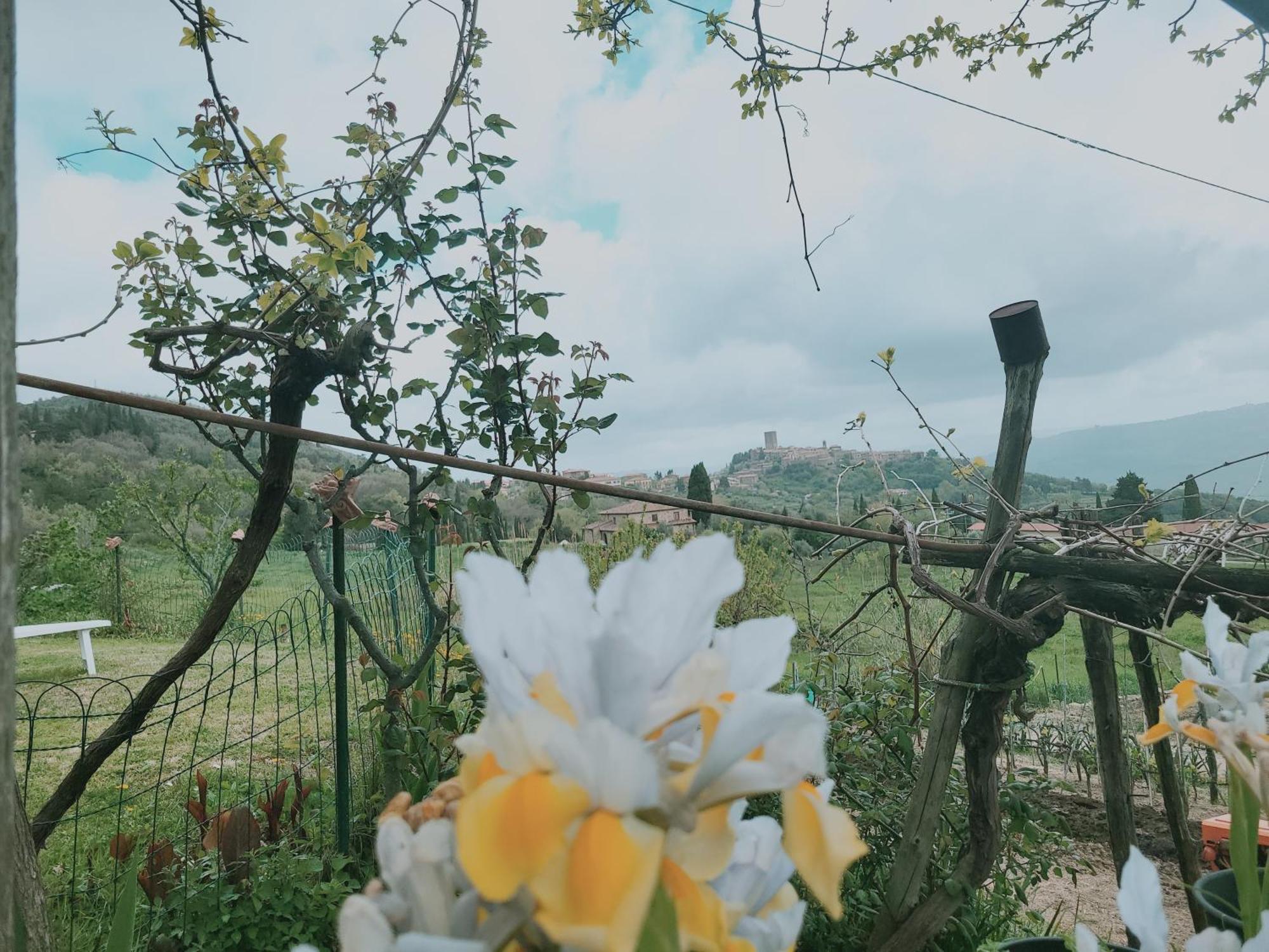 I Castagnini Leilighet Montecatini Val di Cecina Eksteriør bilde