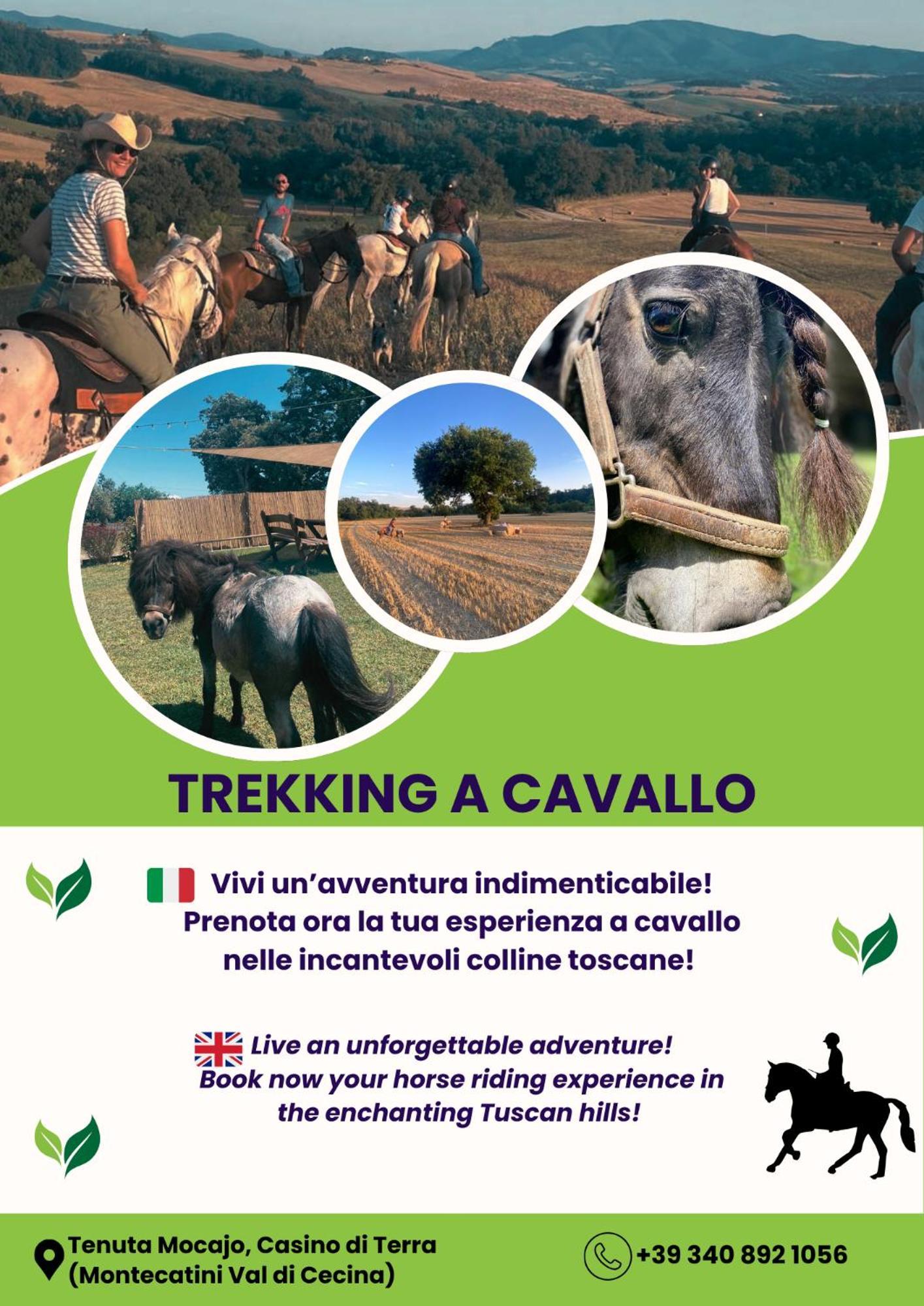 I Castagnini Leilighet Montecatini Val di Cecina Eksteriør bilde