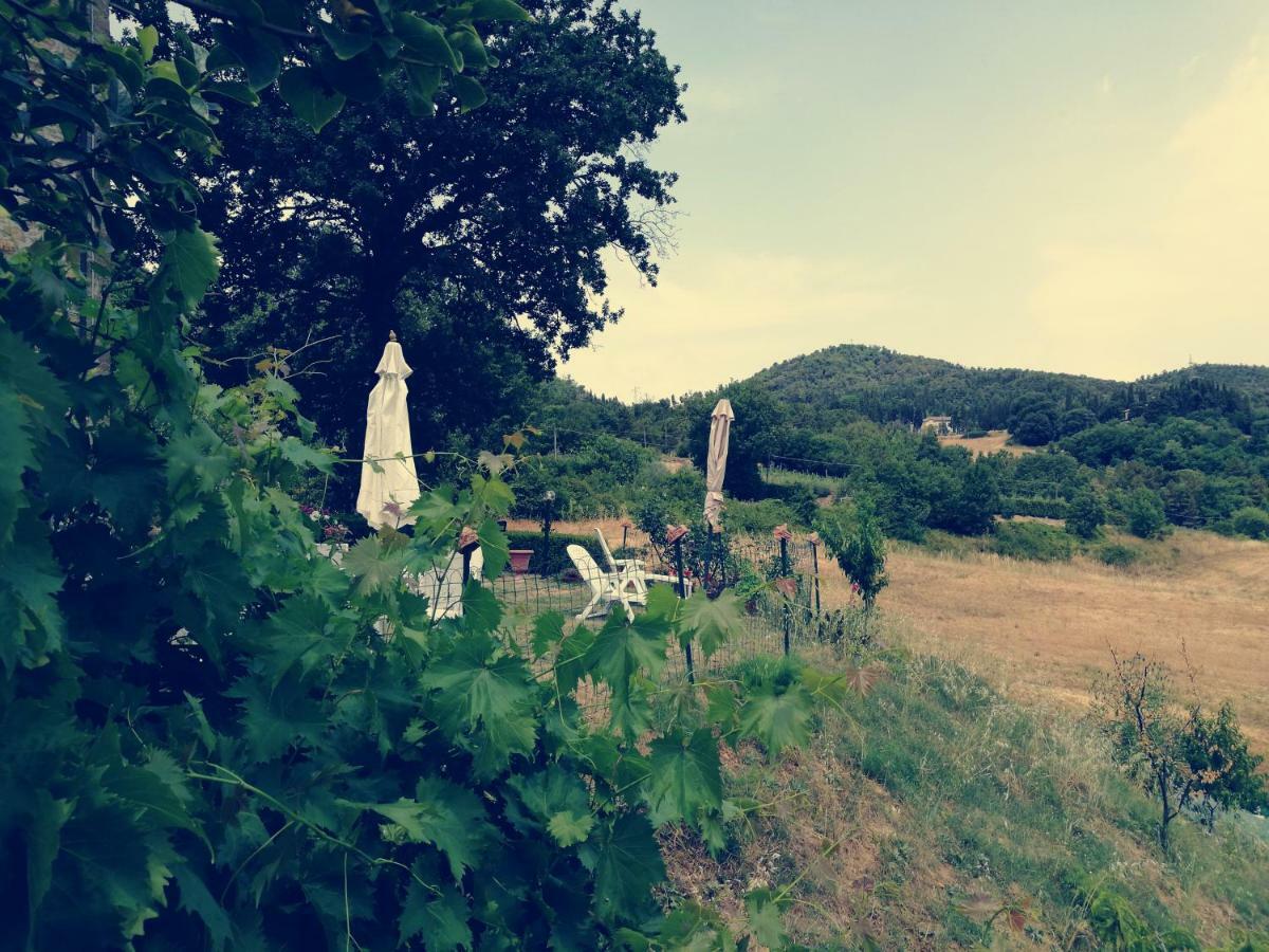 I Castagnini Leilighet Montecatini Val di Cecina Eksteriør bilde