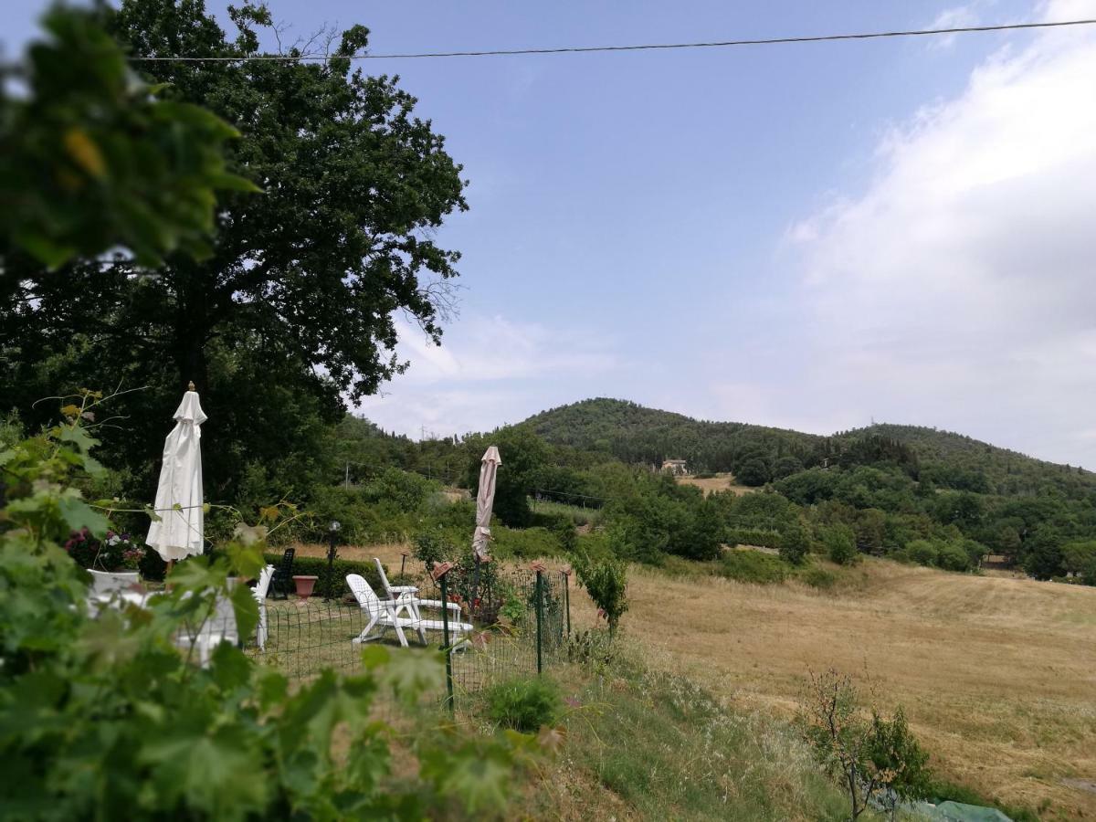 I Castagnini Leilighet Montecatini Val di Cecina Eksteriør bilde