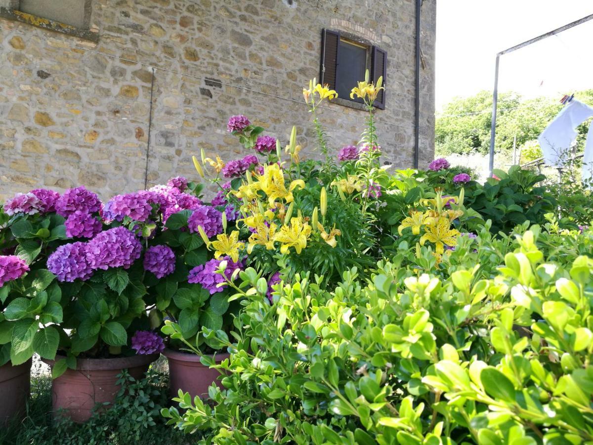 I Castagnini Leilighet Montecatini Val di Cecina Eksteriør bilde