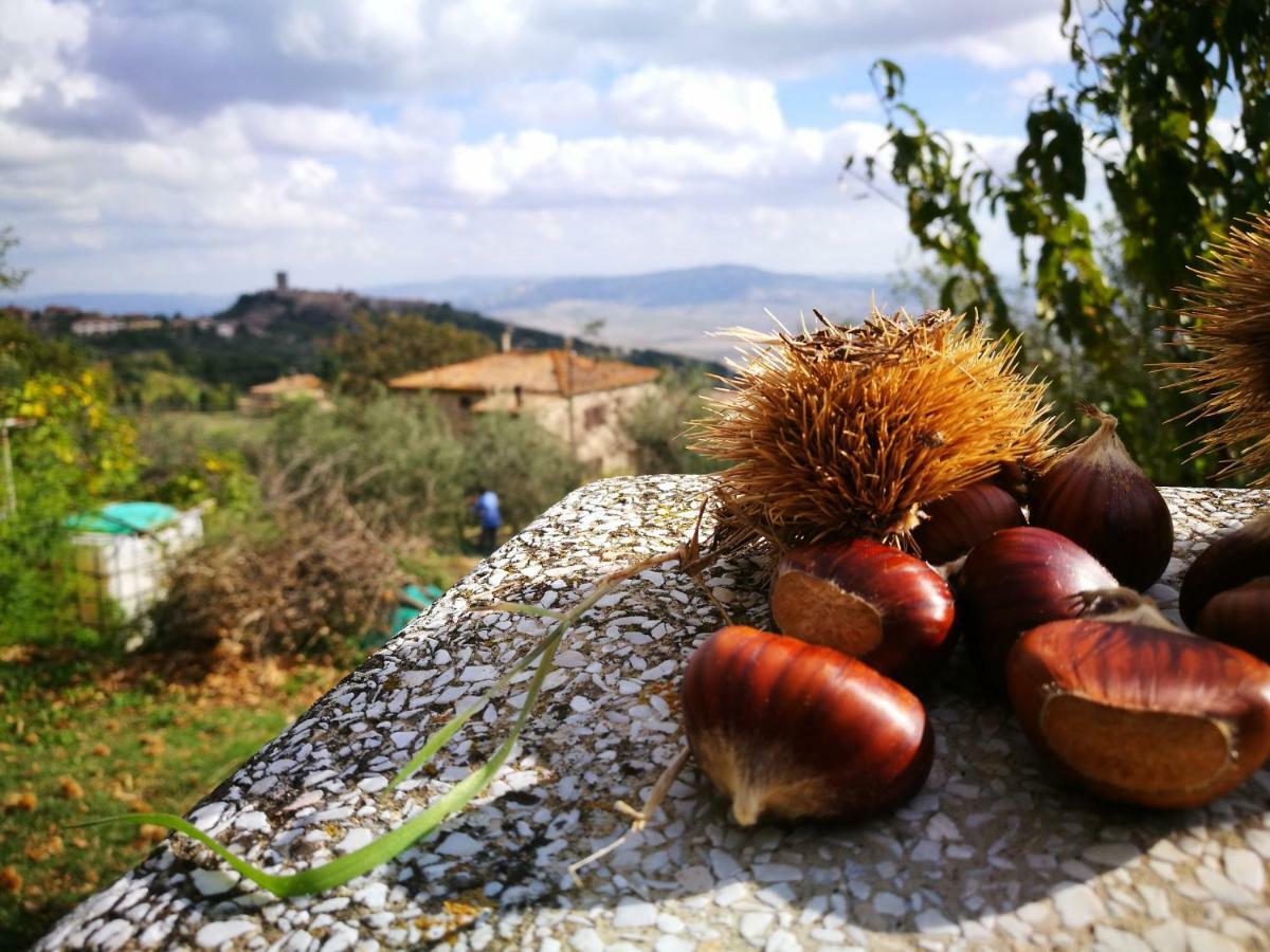I Castagnini Leilighet Montecatini Val di Cecina Eksteriør bilde