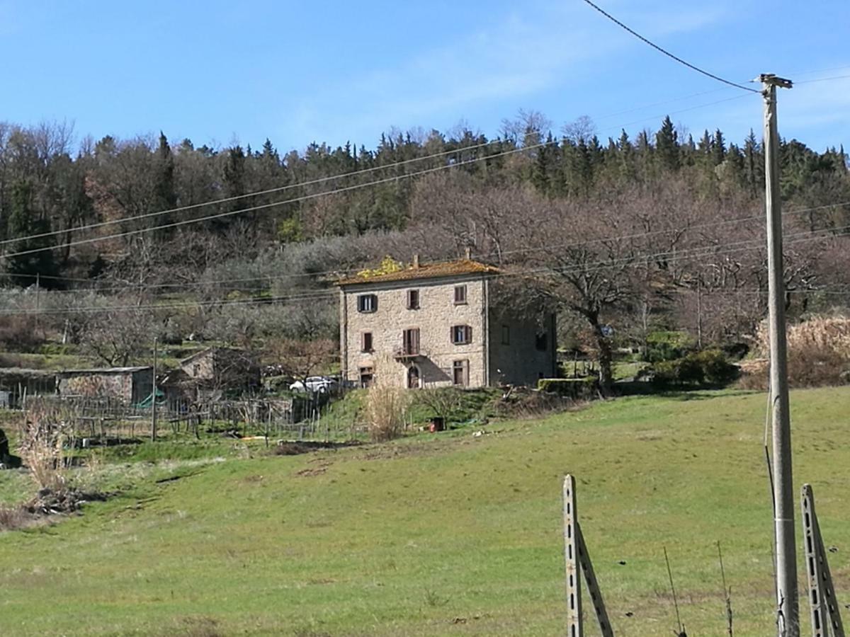 I Castagnini Leilighet Montecatini Val di Cecina Eksteriør bilde